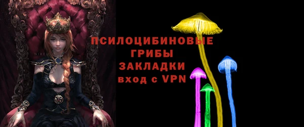 дурь Волоколамск