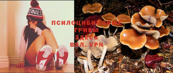дурь Волоколамск