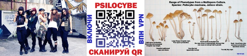 Псилоцибиновые грибы прущие грибы  Галич 